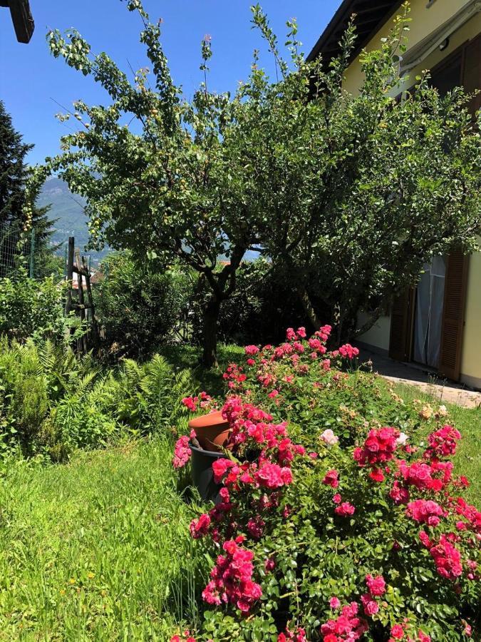 The Children Smile- With Private Garden Apartment Colico Exterior foto
